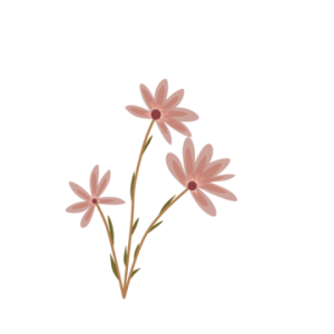 pngtree-aesthetic-flower-decoration-png-image_6289296